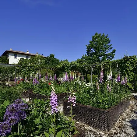 Amagioia By Palazzo Di Varignana