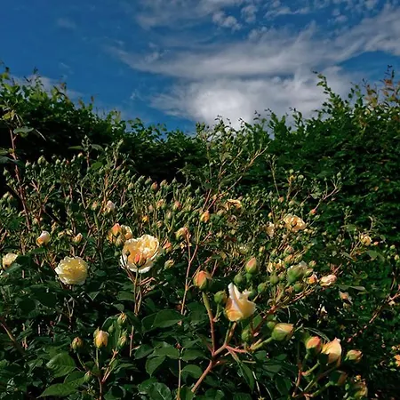 Amagioia By Palazzo Di וילה