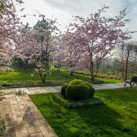 Amagioia By Palazzo Di Varignana