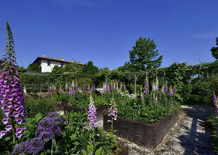 Amagioia By Palazzo Di Varignana