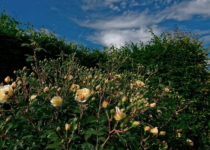 Amagioia By Palazzo Di Villa